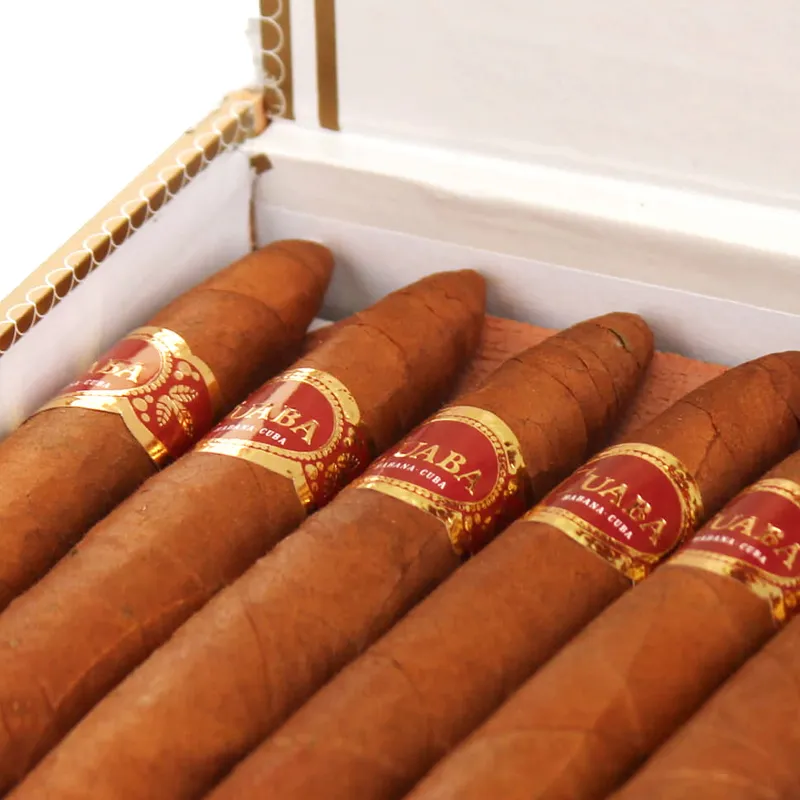 库阿巴 独家-3.webp