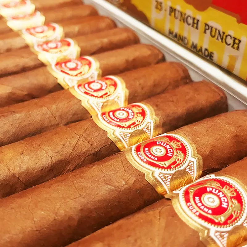 潘趣 潘趣-3.webp