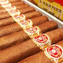 潘趣 潘趣-3.webp