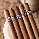 拉斐尔 特级宾丽-3.webp