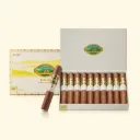 GREAT WALL (Spectacular No.3 Classic Robusto)