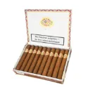 雷蒙阿隆尼 阿隆尼3号 Allones No.3