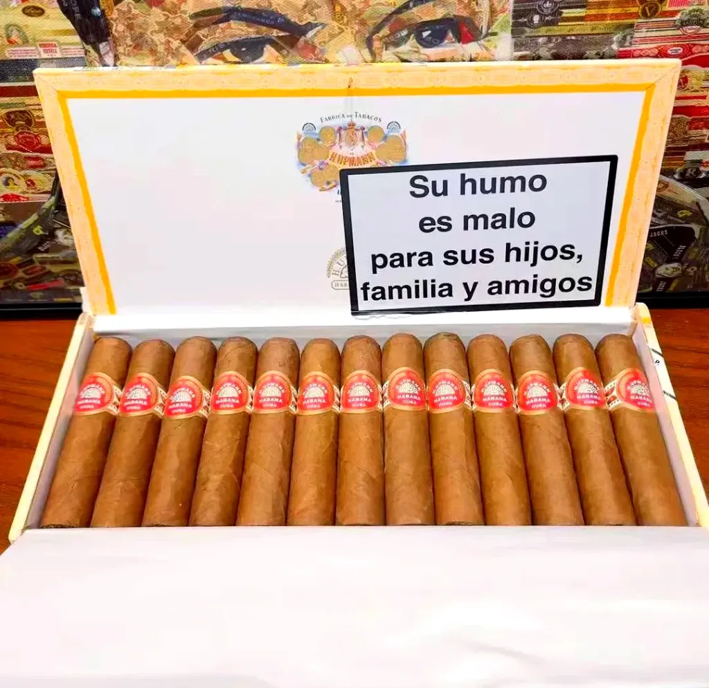 乌普曼 半皇冠 Half Corona